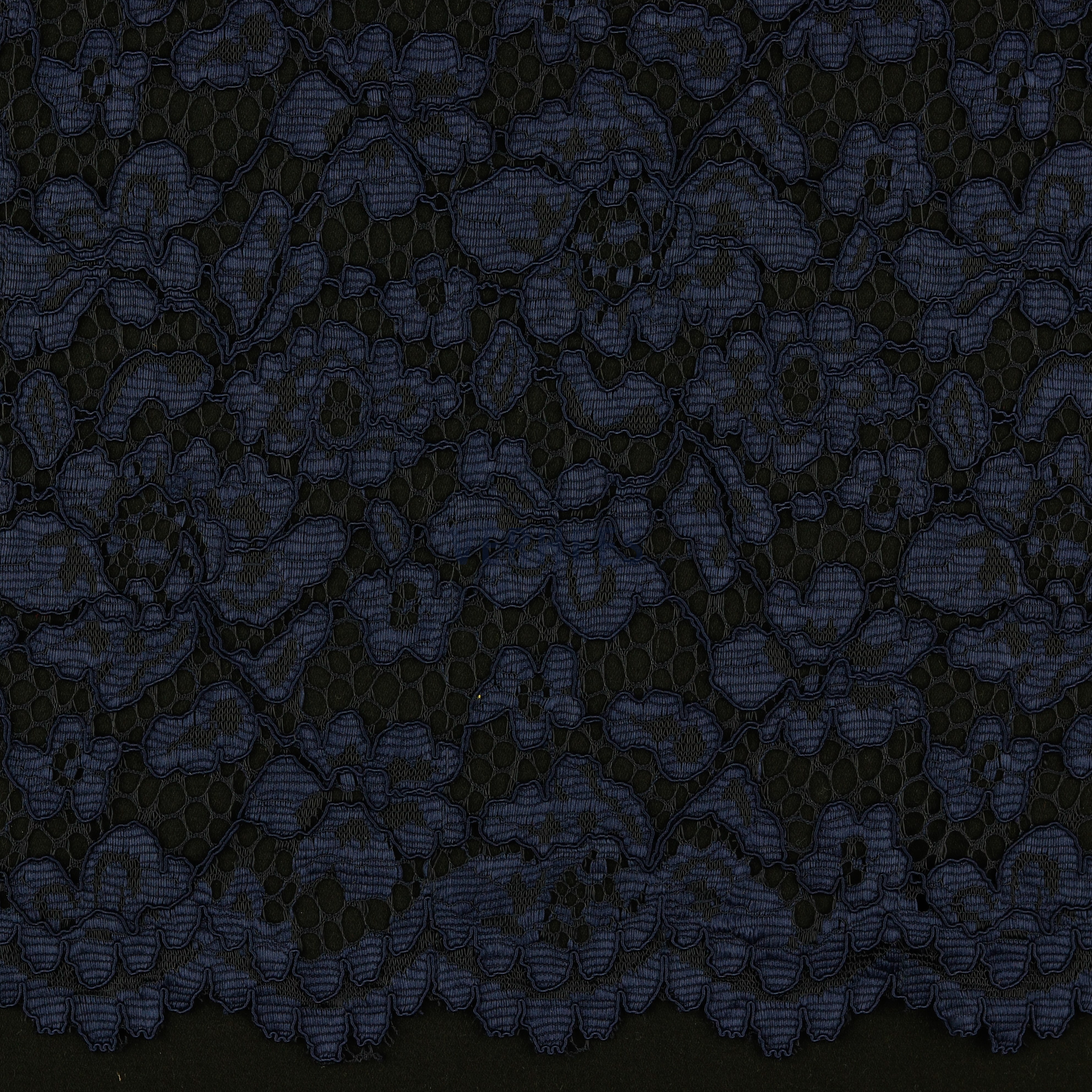 LACE BORDER 2 SIDES NAVY (high resolution)