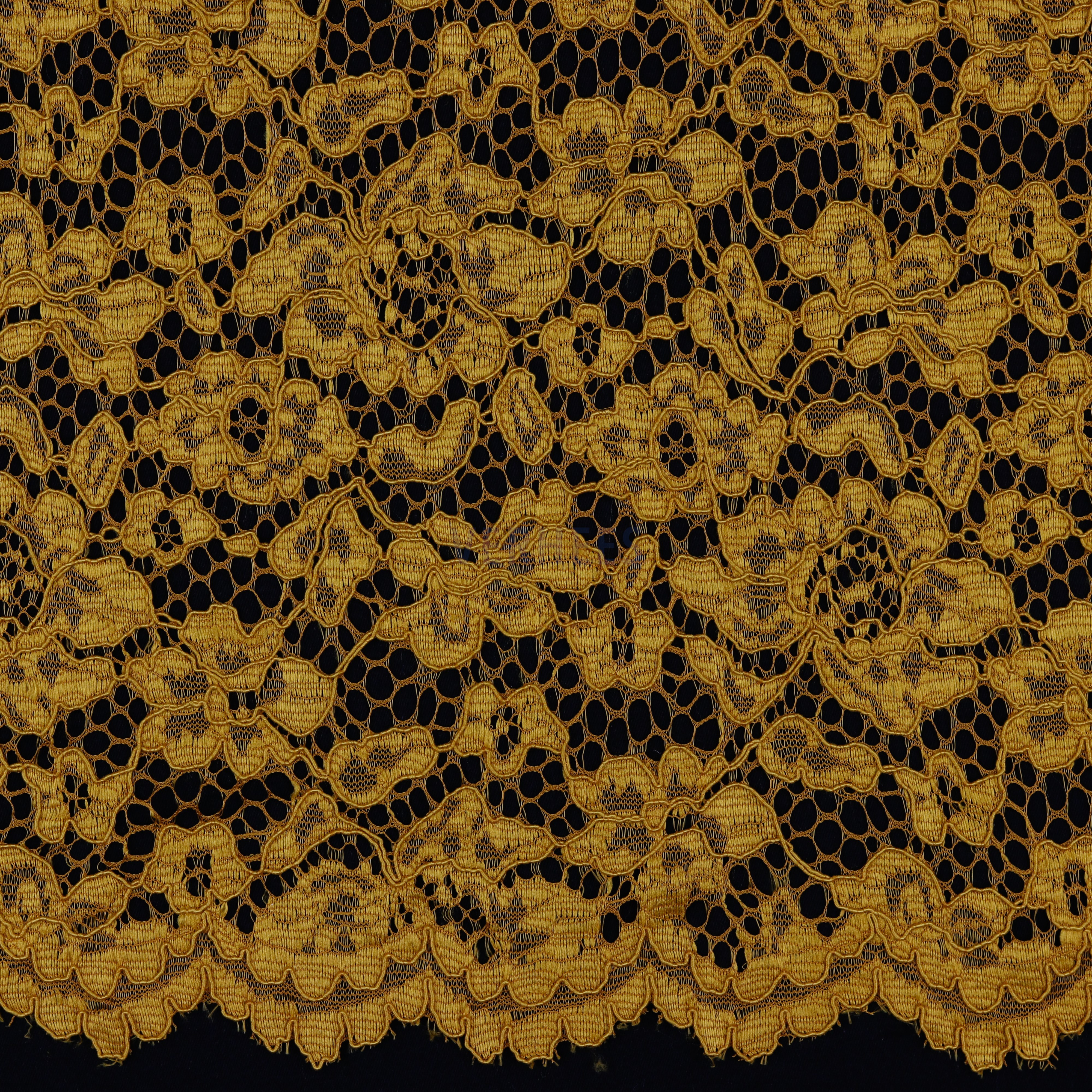 LACE BORDER 2 SIDES OCHRE (high resolution)