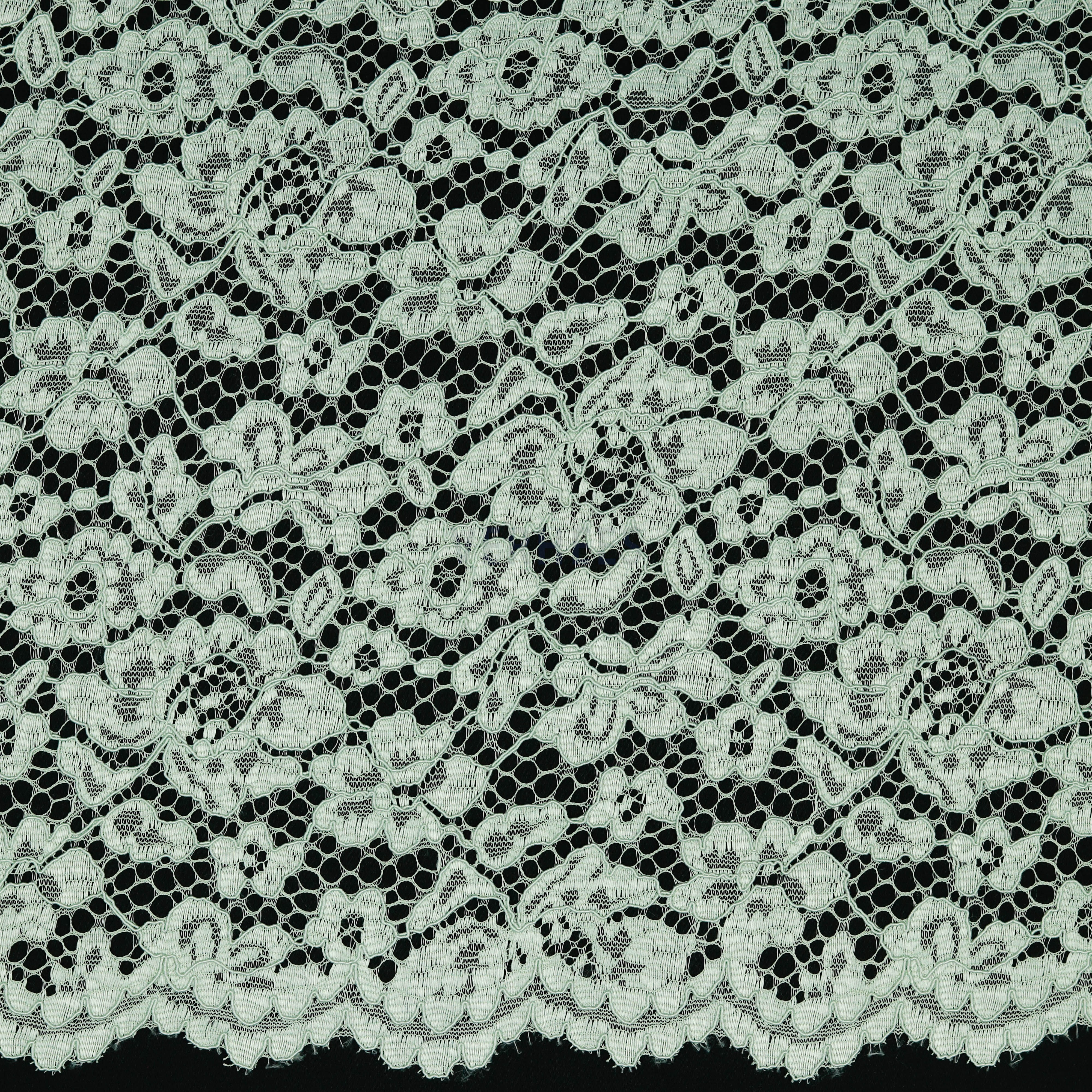 LACE BORDER 2 SIDES LIGHT GREEN (high resolution)