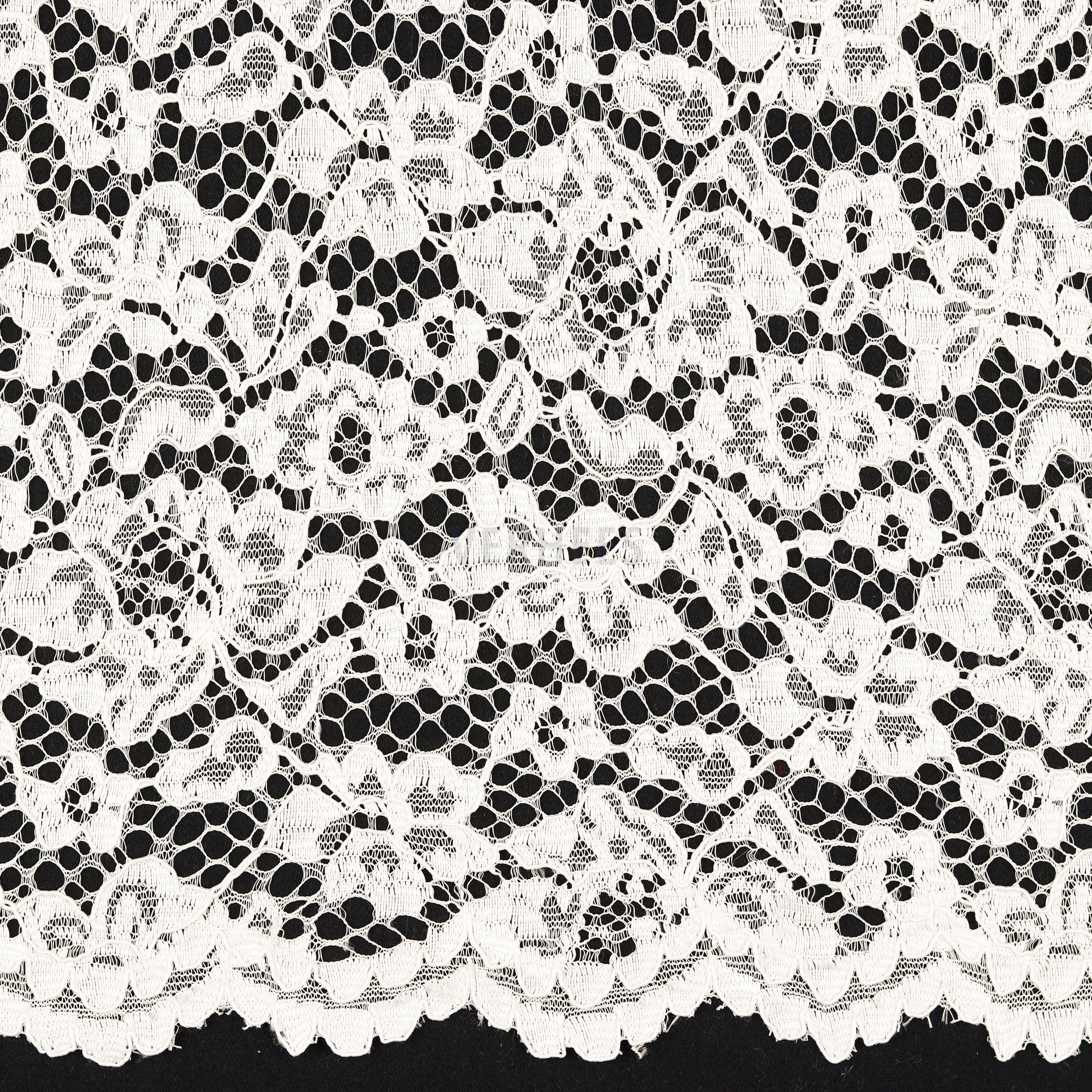 LACE BORDER 2 SIDES IVORY (high resolution)