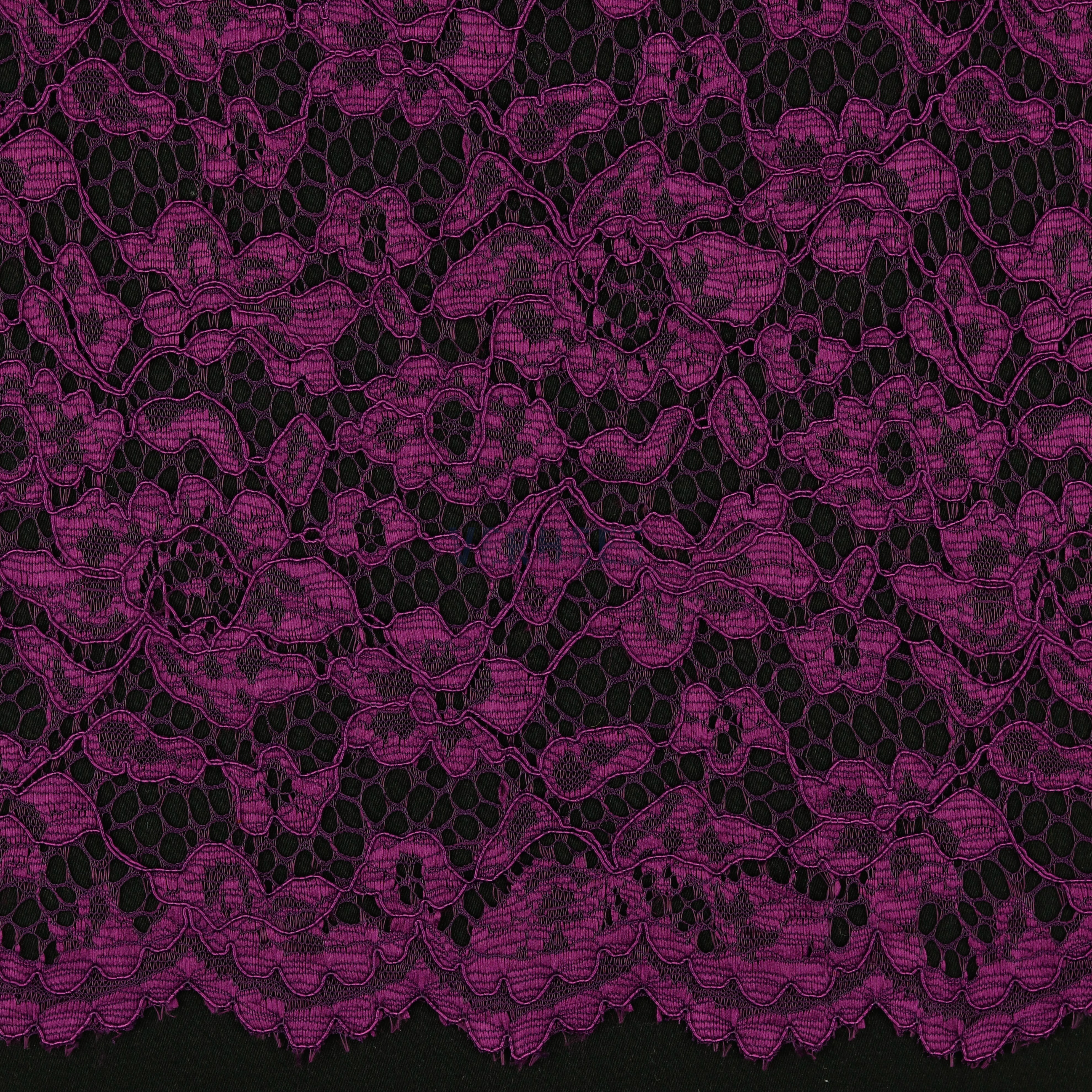 LACE BORDER 2 SIDES PURPLE (high resolution)