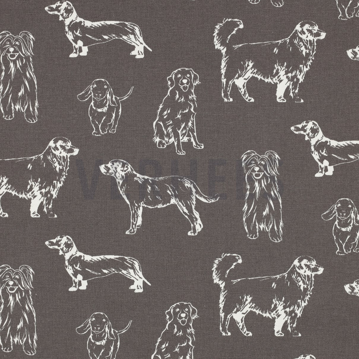 CANVAS DOGS GREY (high resolution)