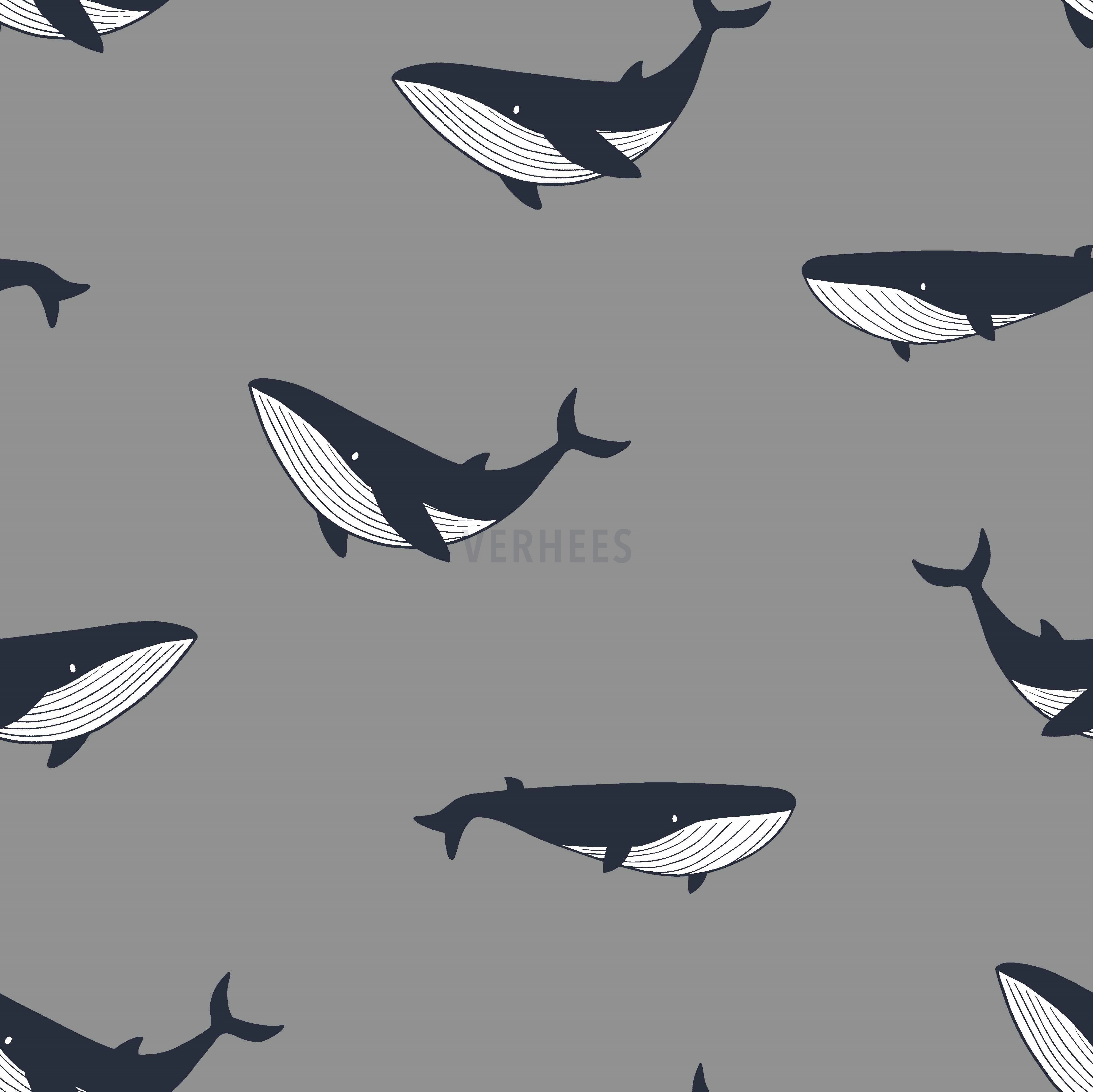 SOFT SWEAT WHALES GREY (high resolution)