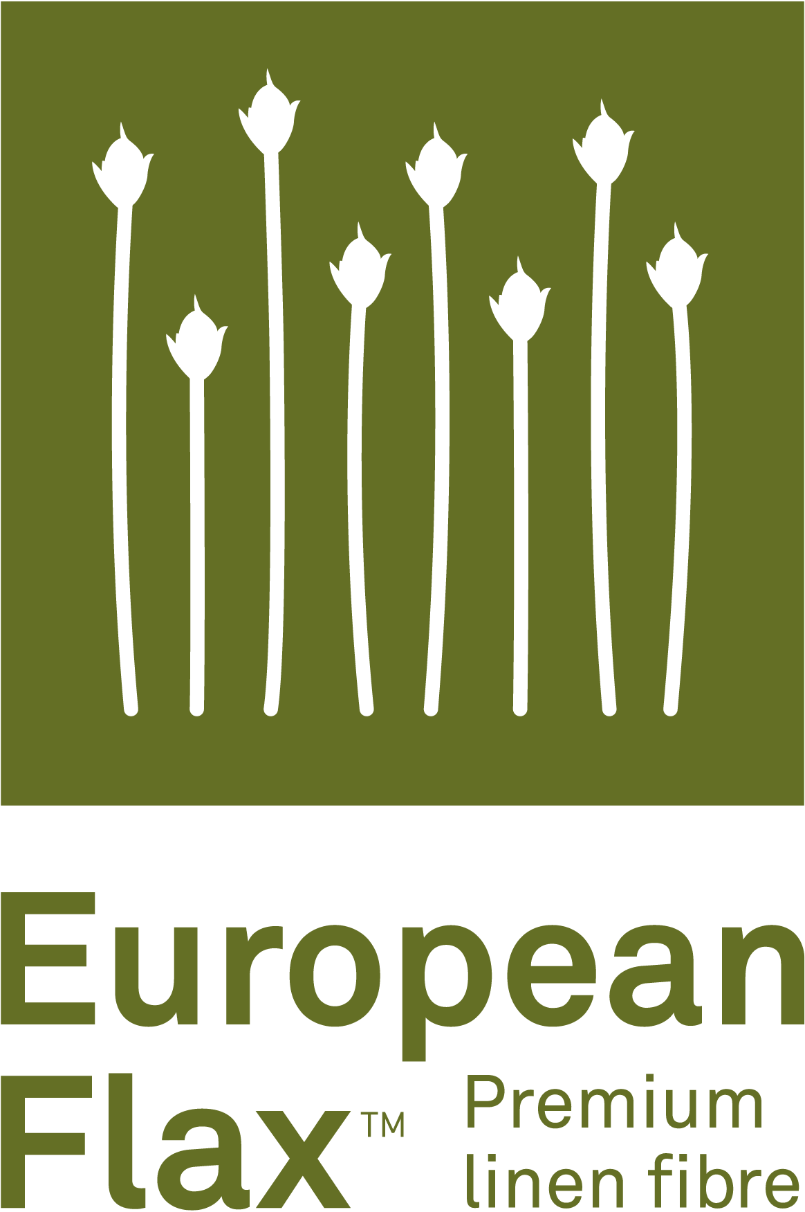 European Flax