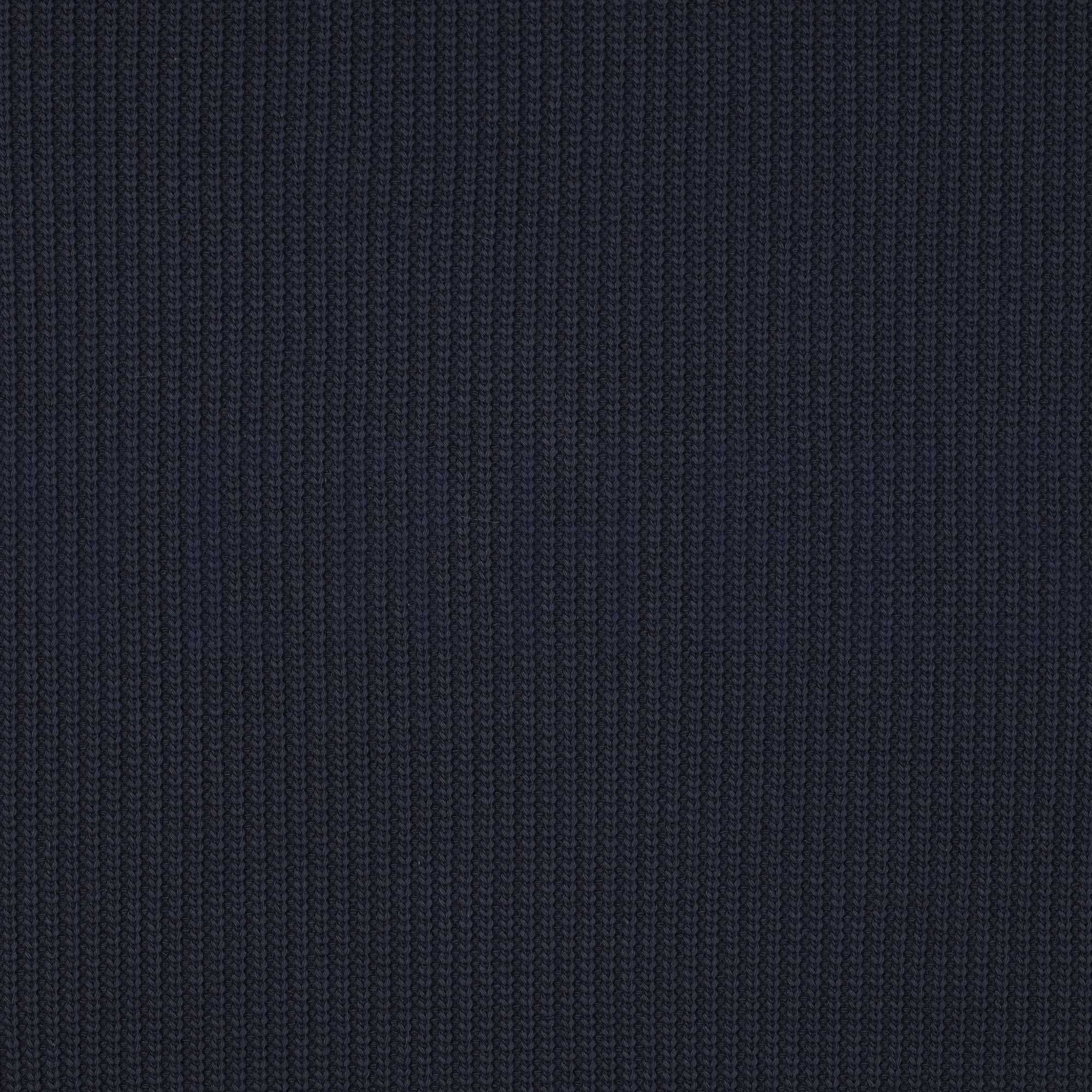 COTTON KNIT NAVY (high resolution)