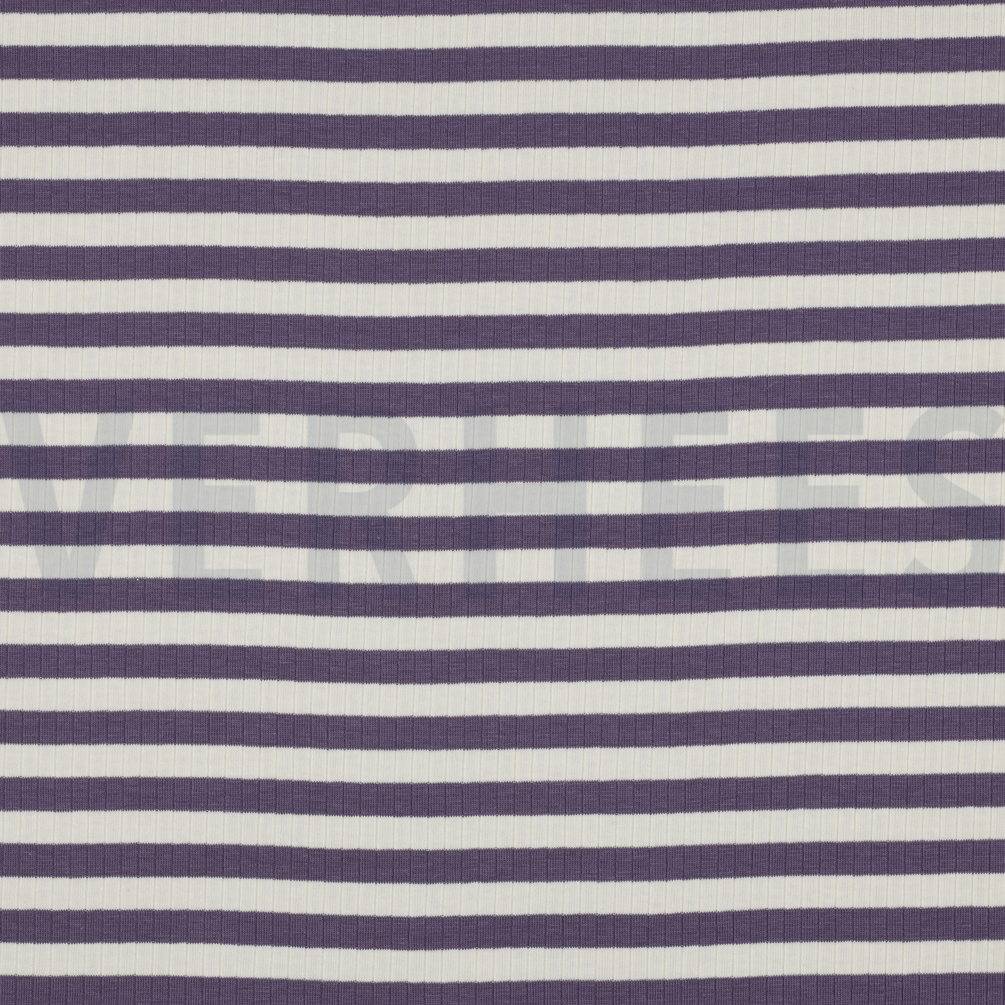 RIB YARN DYED STRIPE GRAPE (high resolution)