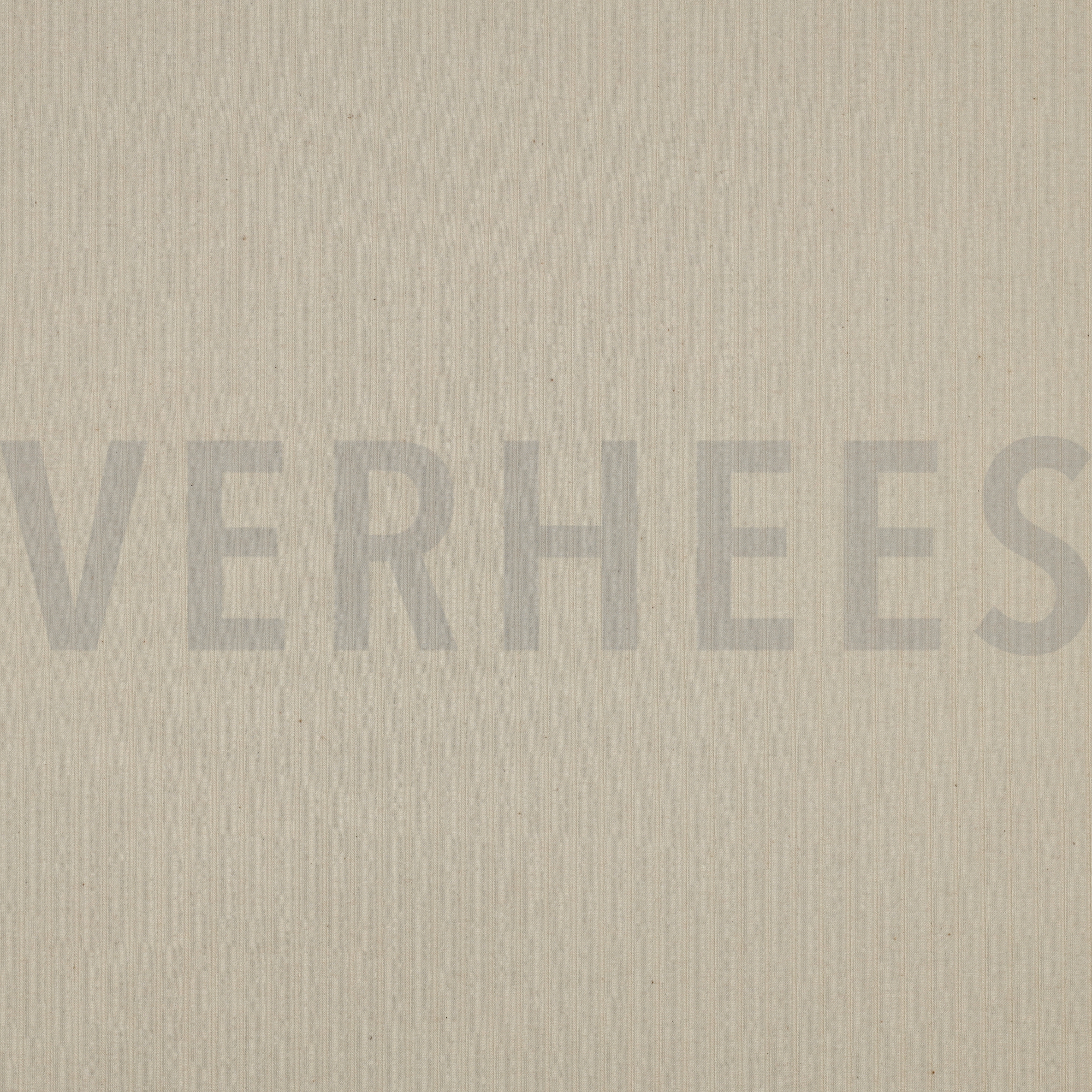 RIB JERSEY BIG NATURAL  (high resolution)