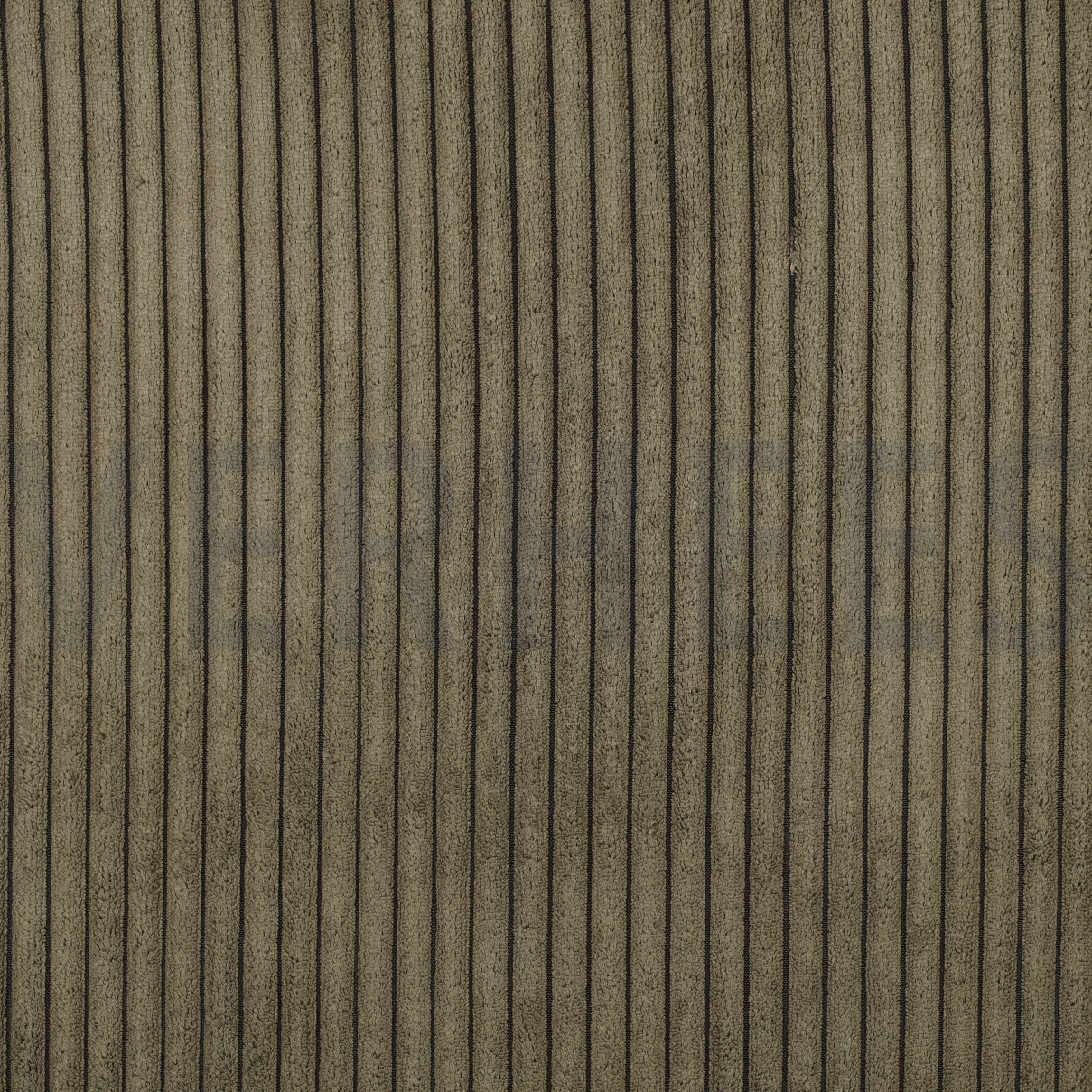 VELOURS DECO CORDUROY OLIVE (high resolution)