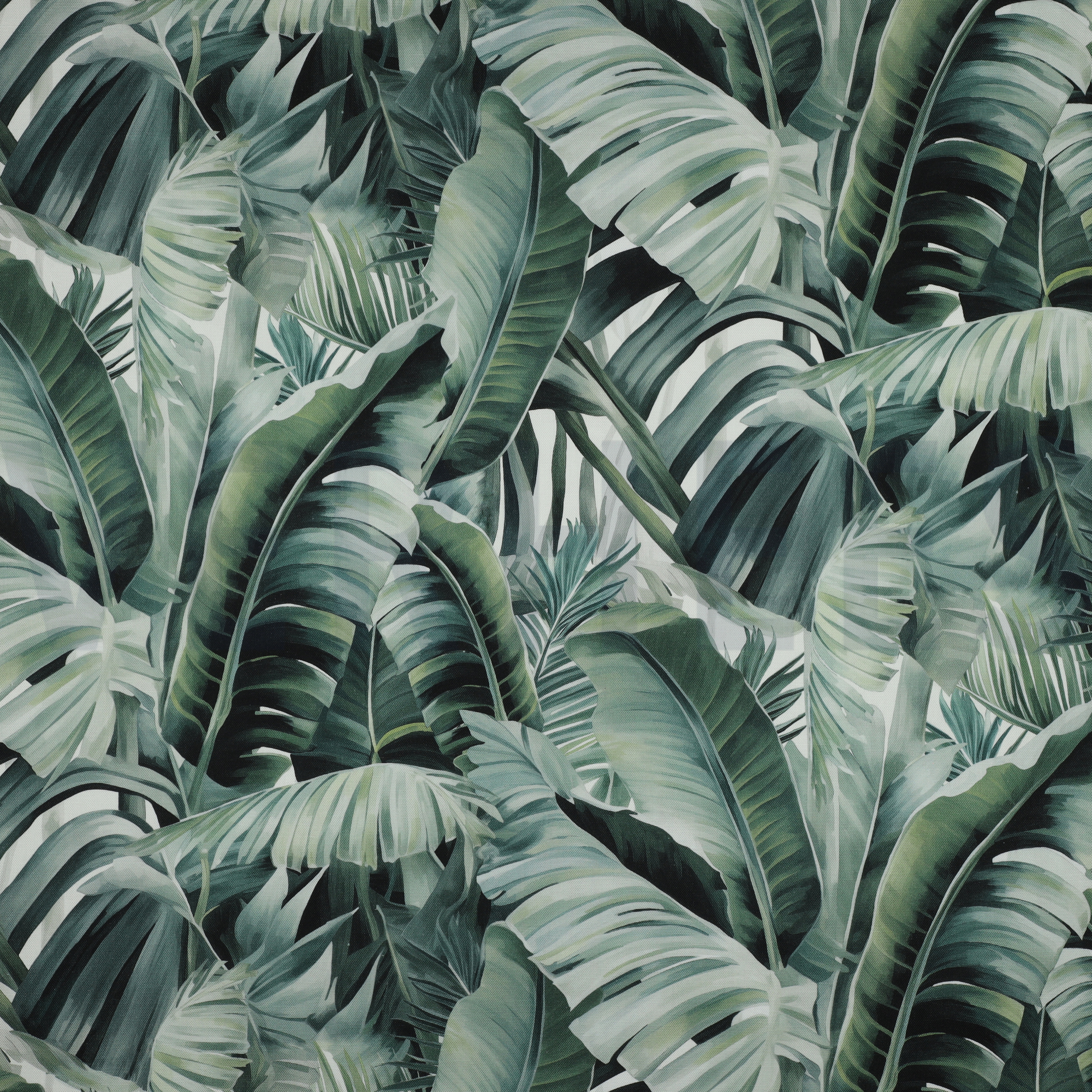 CANVAS DIGITAL LEAVES GREEN (high resolution)
