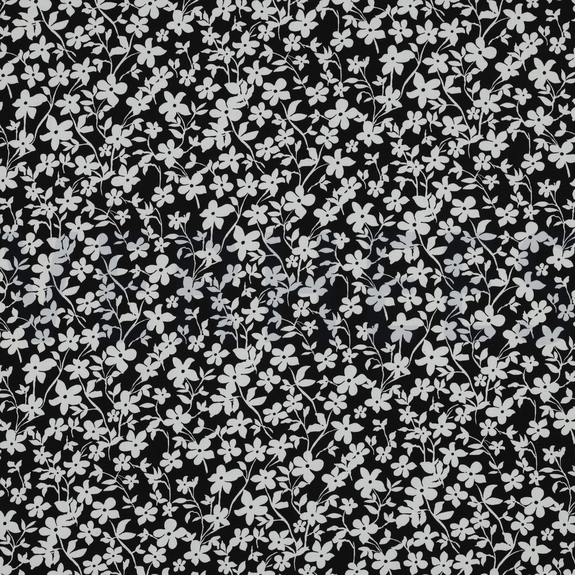 RADIANCE FLOWERS BLACK (high resolution)