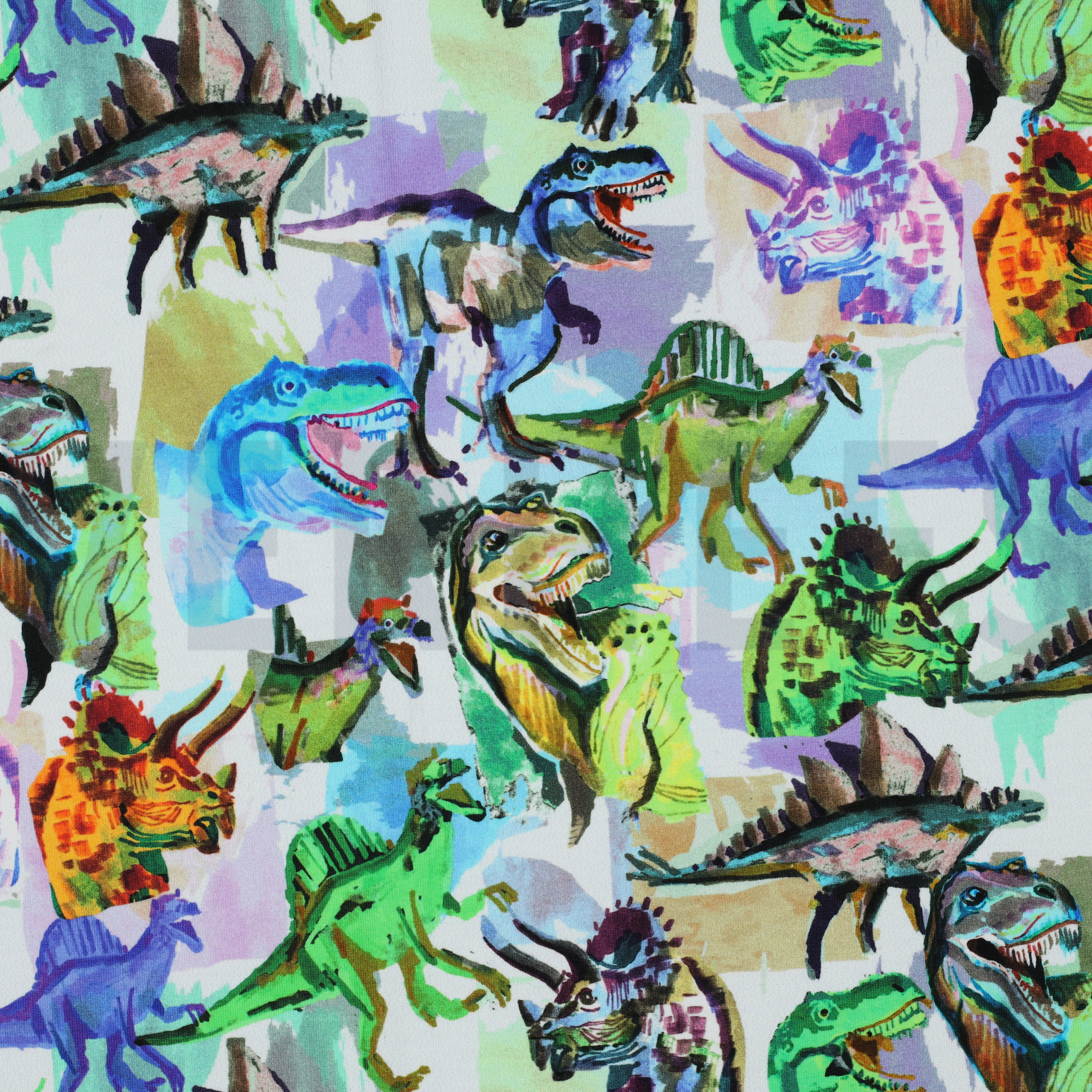 SWEAT DIGITAL DINOSAURS WHITE (high resolution)