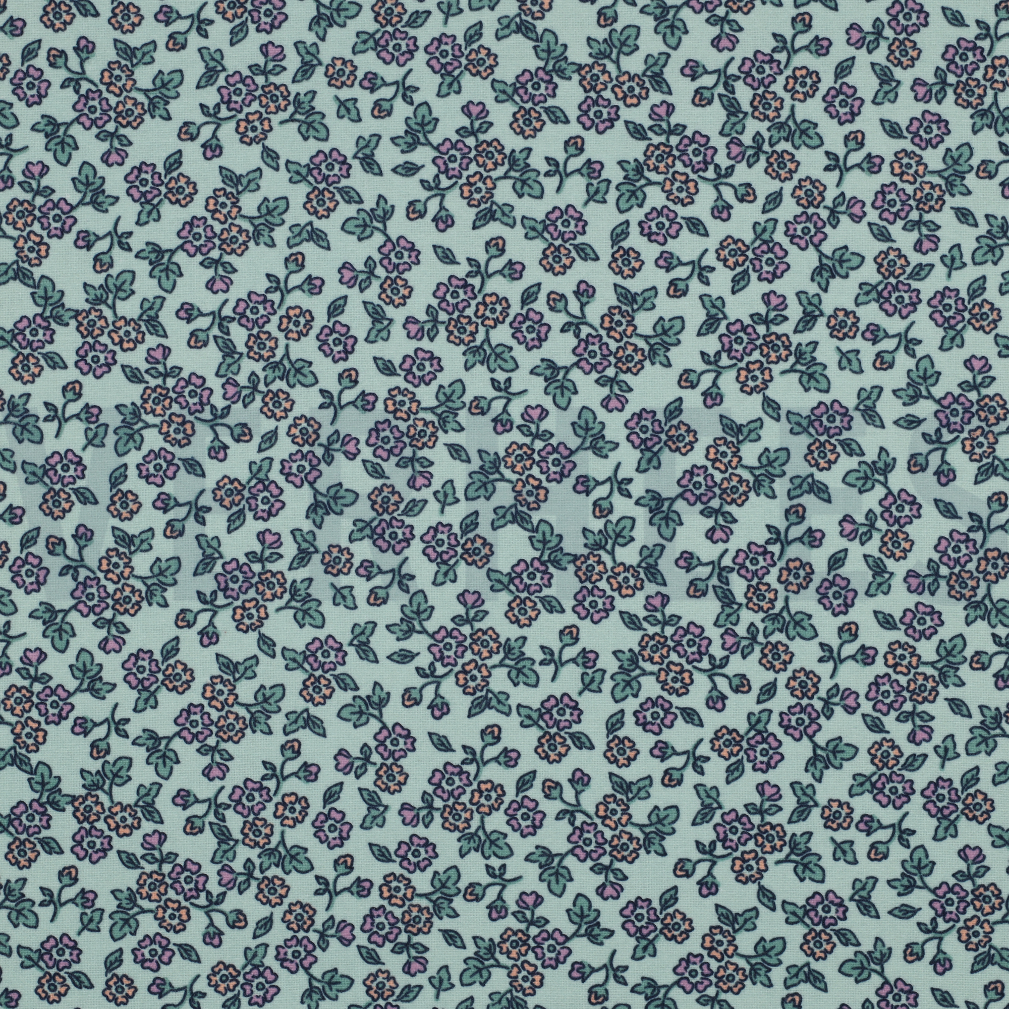 FLANNEL FLOWERS MINT (high resolution)