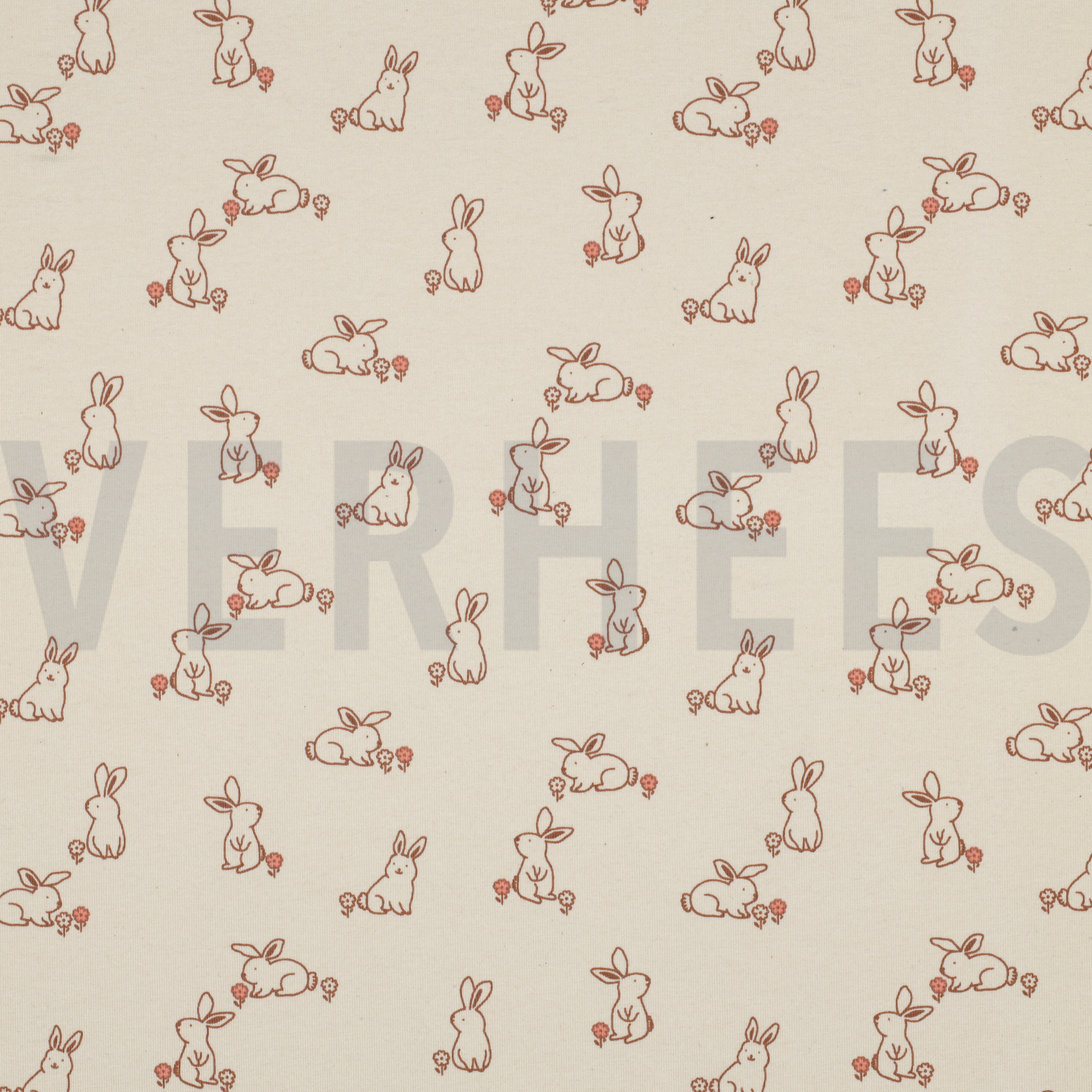 JERSEY GOTS NATURAL RABBITS NATURAL (high resolution)