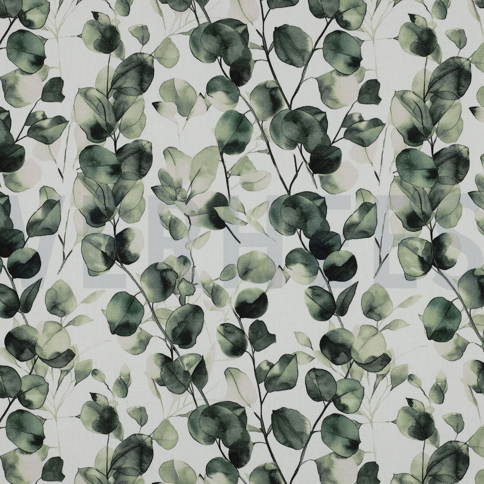 CANVAS DIGITAL EUCALYPTUS GREEN (high resolution)