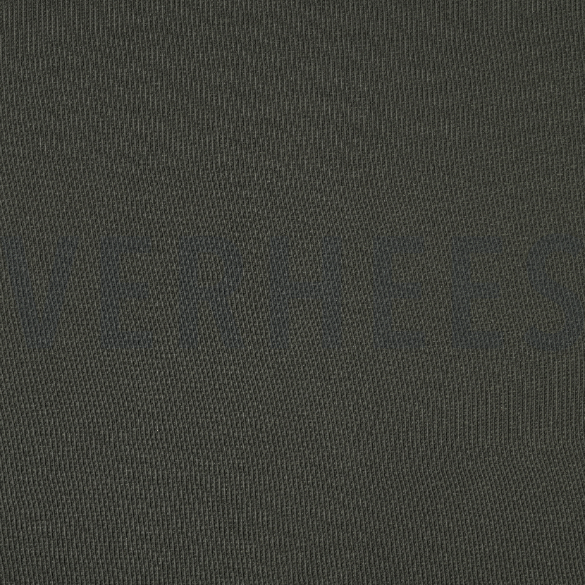 JERSEY GOTS HUNTER (high resolution)