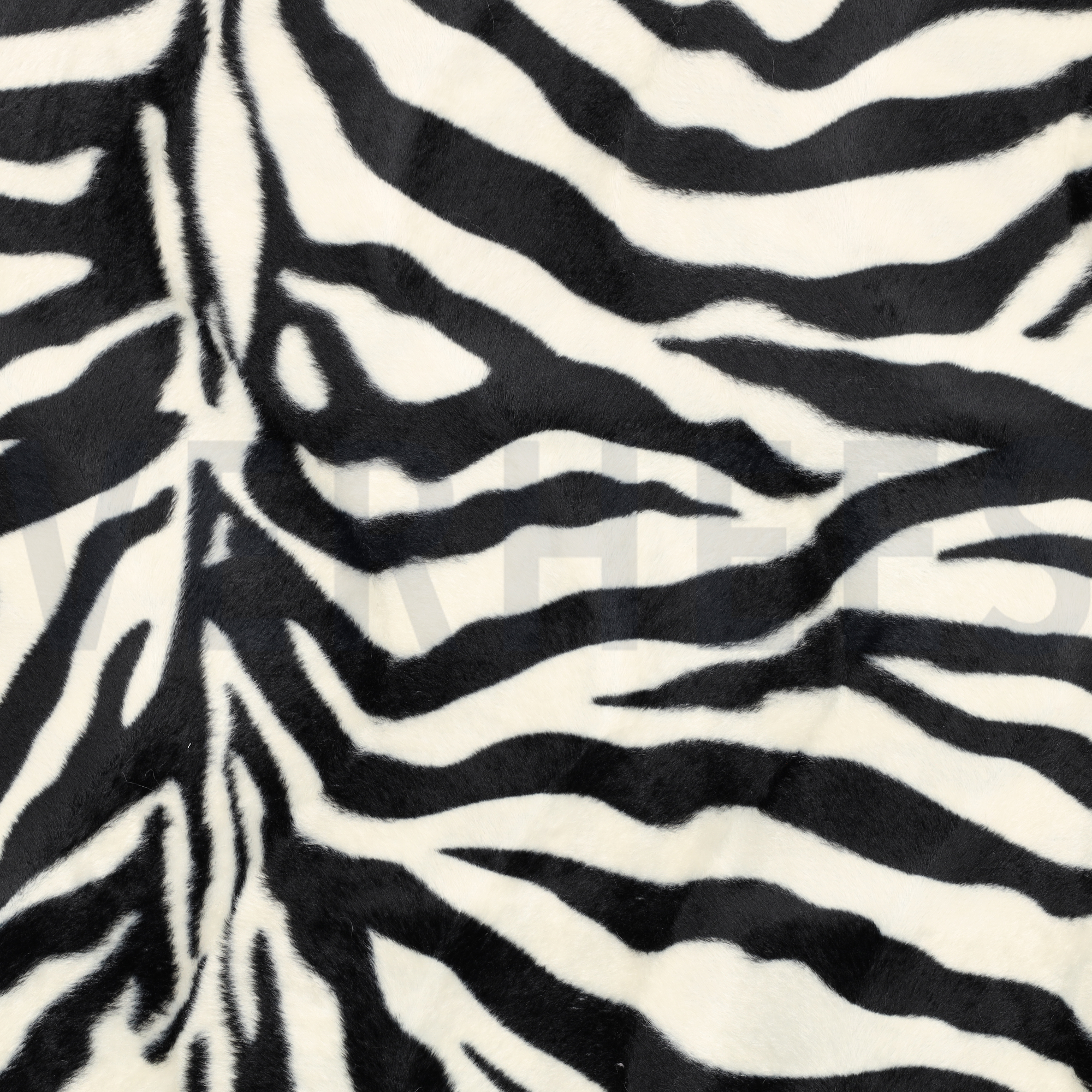 VELBOA ZEBRA ECRU/BLACK (high resolution)
