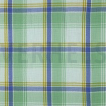 DOUBLE GAUZE YARN DYED CHECKS GREEN (thumbnail)