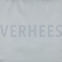 RAINCOAT TRANSPARENT (thumbnail)