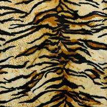 TIGER ECRU/BEIGE/GOLD (thumbnail)