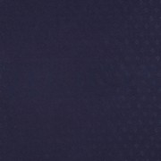 POINTOILLE NAVY (thumbnail)