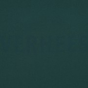 BI STRETCH PINE GREEN (thumbnail)