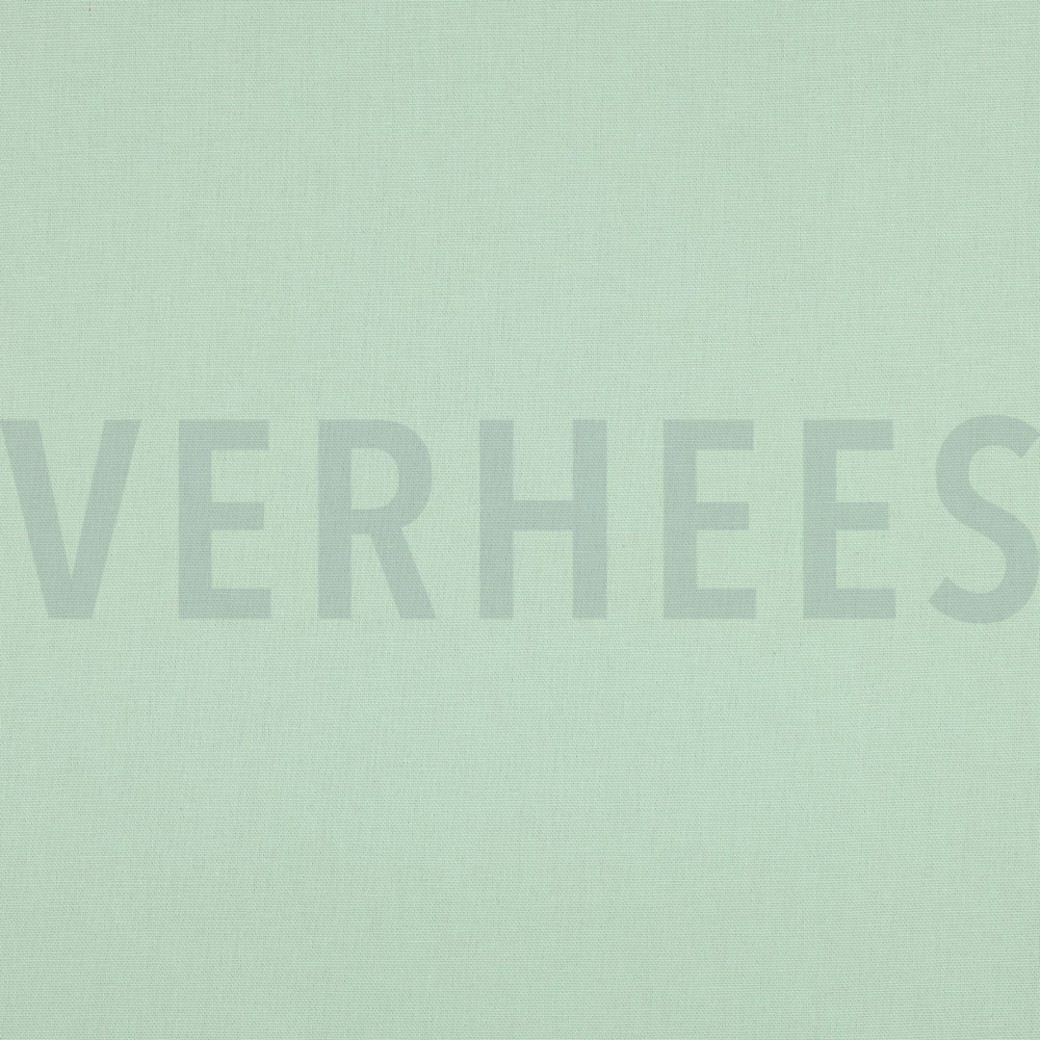 CANVAS MINT