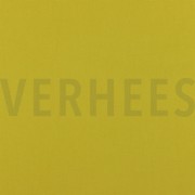 CANVAS CURRY (thumbnail)