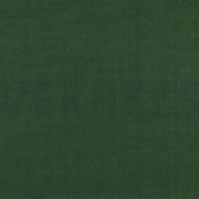 CANVAS DARK GREEN (thumbnail)