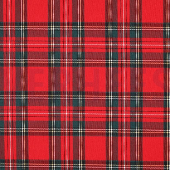 SCHOTSE RUIT ROOD #7