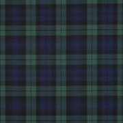 TARTAN CHECK BLACK/BLUE/GREEN/BIG (thumbnail)