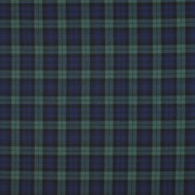 TARTAN CHECK BLACK/BLUE/GREEN/SMALL (thumbnail)