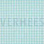 CHECK MINT (thumbnail)