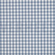 CHECK BLUE (thumbnail)