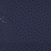 RAINCOAT DOTS NAVY (thumbnail)