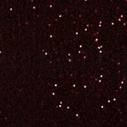 SEQUINS VELVET BORDEAUX (thumbnail)