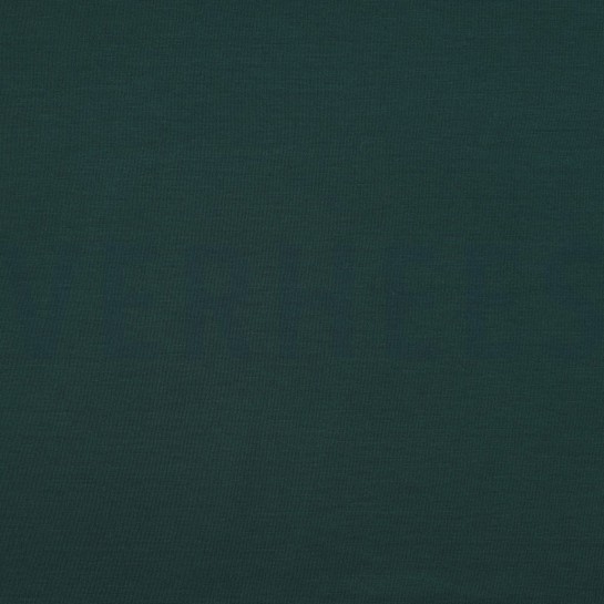 PUNTA DI ROMA HUNTER #7