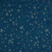 WATER REPELLENT PETROL (thumbnail)