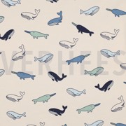 JERSEY WHALES OFF WHITE (thumbnail)