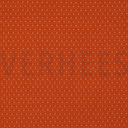EYELET STRETCH ORANGE (hover)