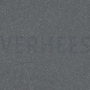 ROYAL TULE SPARKLE DARK GREY / SILVER (thumbnail)