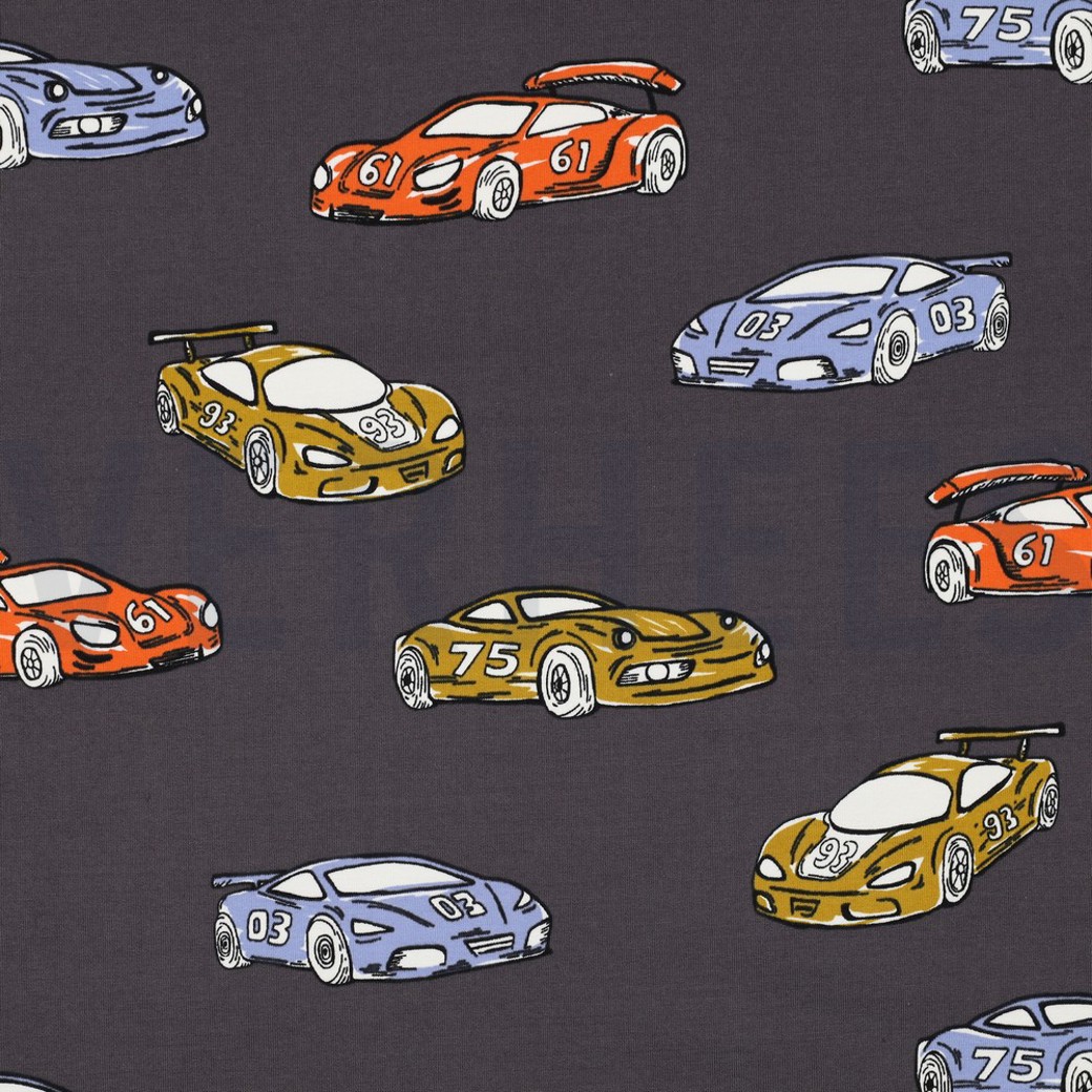 FRENCH TERRY RACECARS GREY
