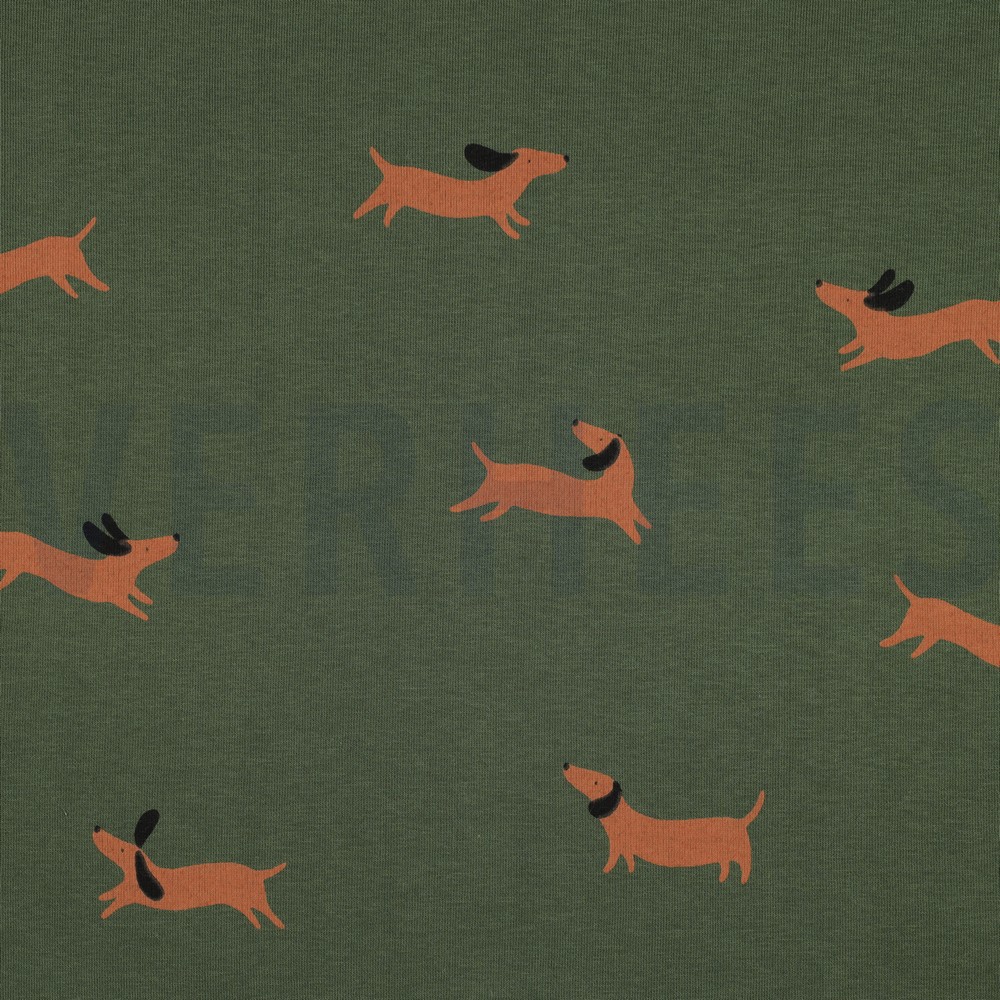 JOGGING DOGS FOREST (hover)