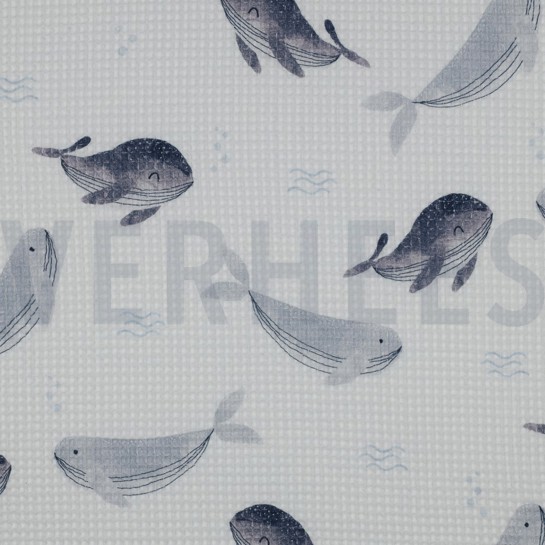 WAFFLE DIGITAL WHALES WHITE #7