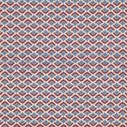 FINE POPLIN FLOWERS JEANS (thumbnail)