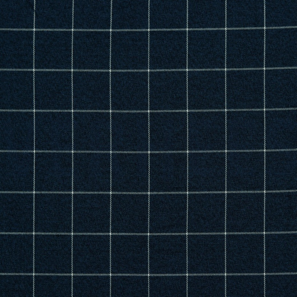 CHECK INDIGO/WHITE