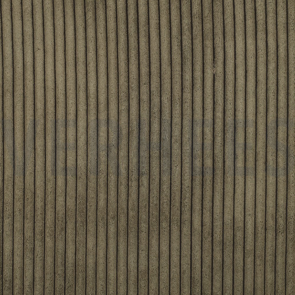 VELOURS DECO CORDUROY OLIVE