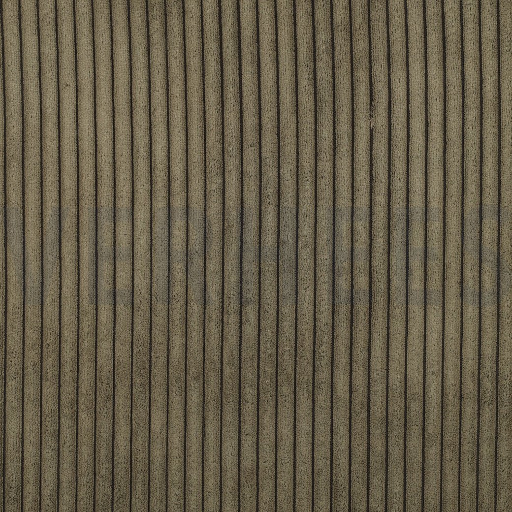 VELOURS DECO CORDUROY OLIVE