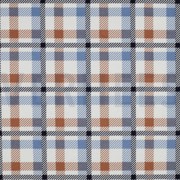FLANNEL CHECK CINNAMON (thumbnail)