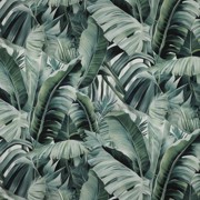 CANVAS DIGITAL LEAVES GREEN (thumbnail)