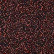 POPLIN WILD FLOWERS BLACK (thumbnail)